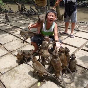 Meet your Posher, Harry